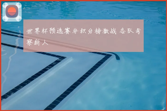 世界杯预选赛非积分榜激战 各队考察新人