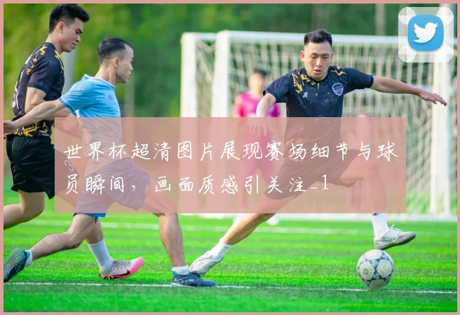 世界杯超清图片展现赛场细节与球员瞬间，画面质感引关注_1