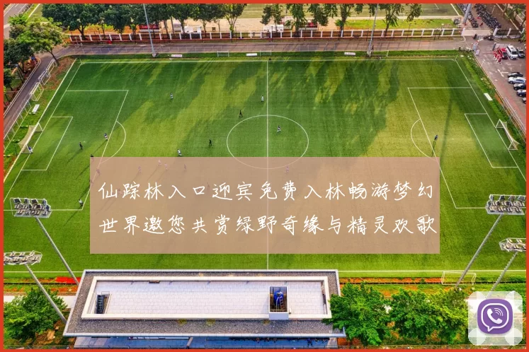 仙踪林入口迎宾免费入林畅游梦幻世界邀您共赏绿野奇缘与精灵欢歌