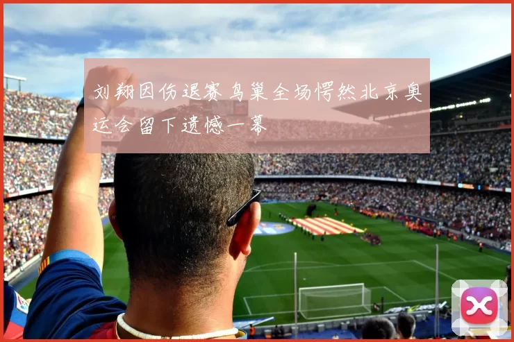 刘翔因伤退赛鸟巢全场愕然北京奥运会留下遗憾一幕