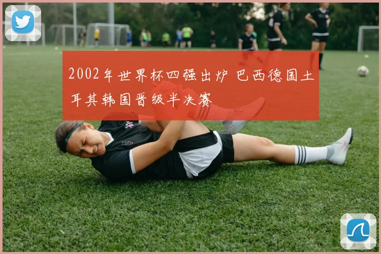 2002年世界杯四强出炉 巴西德国土耳其韩国晋级半决赛