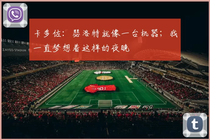 卡多佐：瑟洛特就像一台机器；我一直梦想着这样的夜晚