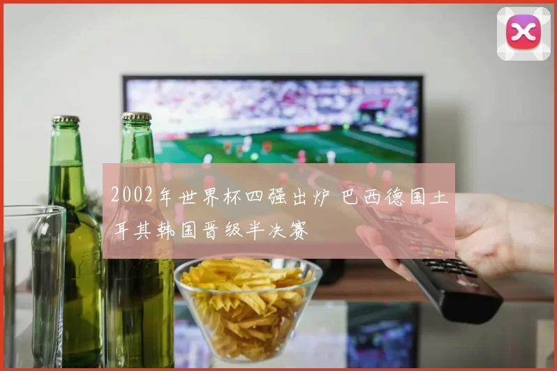 2002年世界杯四强出炉 巴西德国土耳其韩国晋级半决赛