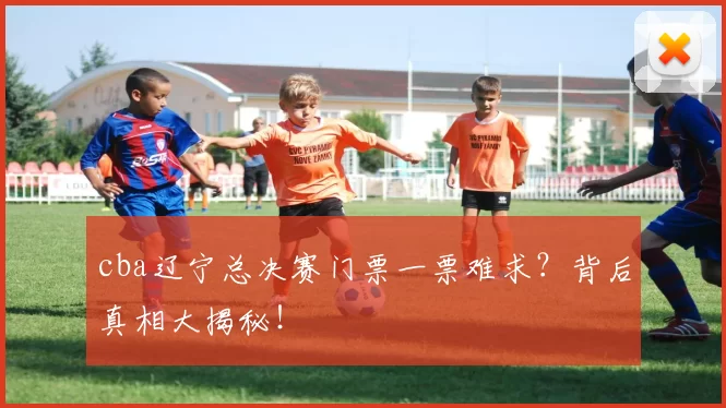 cba辽宁总决赛门票一票难求？背后真相大揭秘！