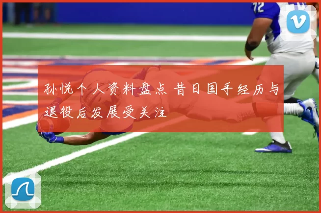 孙悦个人资料盘点 昔日国手经历与退役后发展受关注