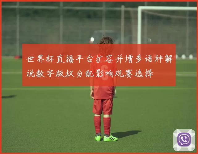 世界杯直播平台扩容并增多语种解说数字版权分配影响观赛选择