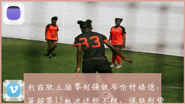 利兹联主场零封强敌布伦特福德，英超第15轮次连斩不败，保级形势显著向好_比赛_双方_观众